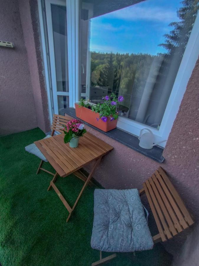 Apartmanek Protez Janske Lazne Exterior photo